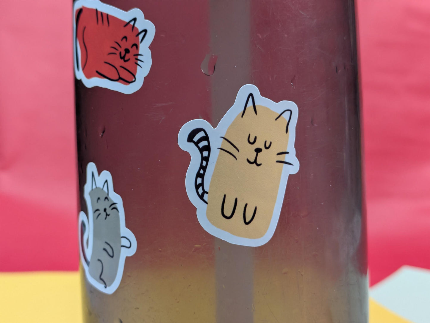 Sticker of a cat on a water bottle with a red background