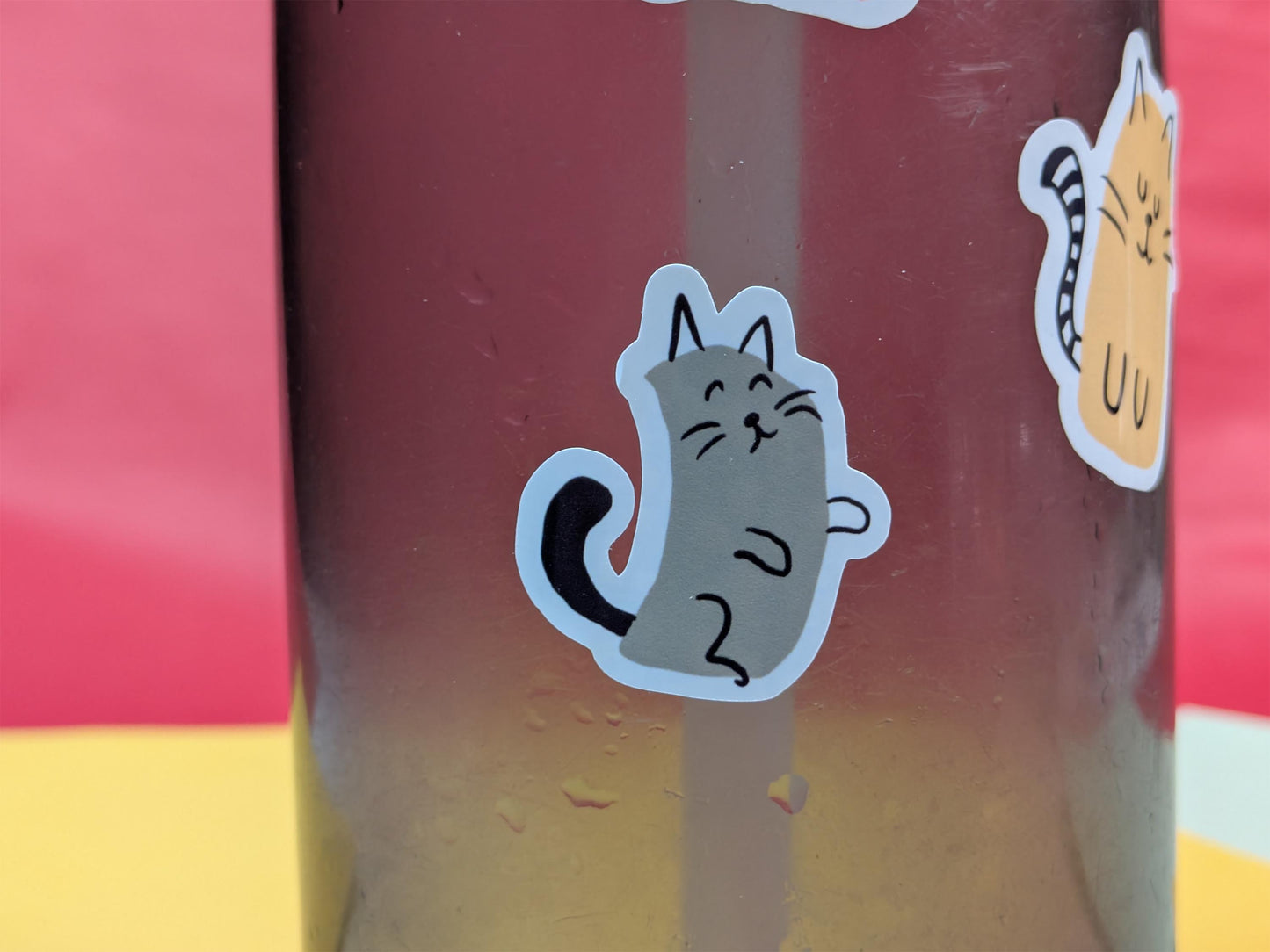 water bottle with a cat sticker on a red and yellow background