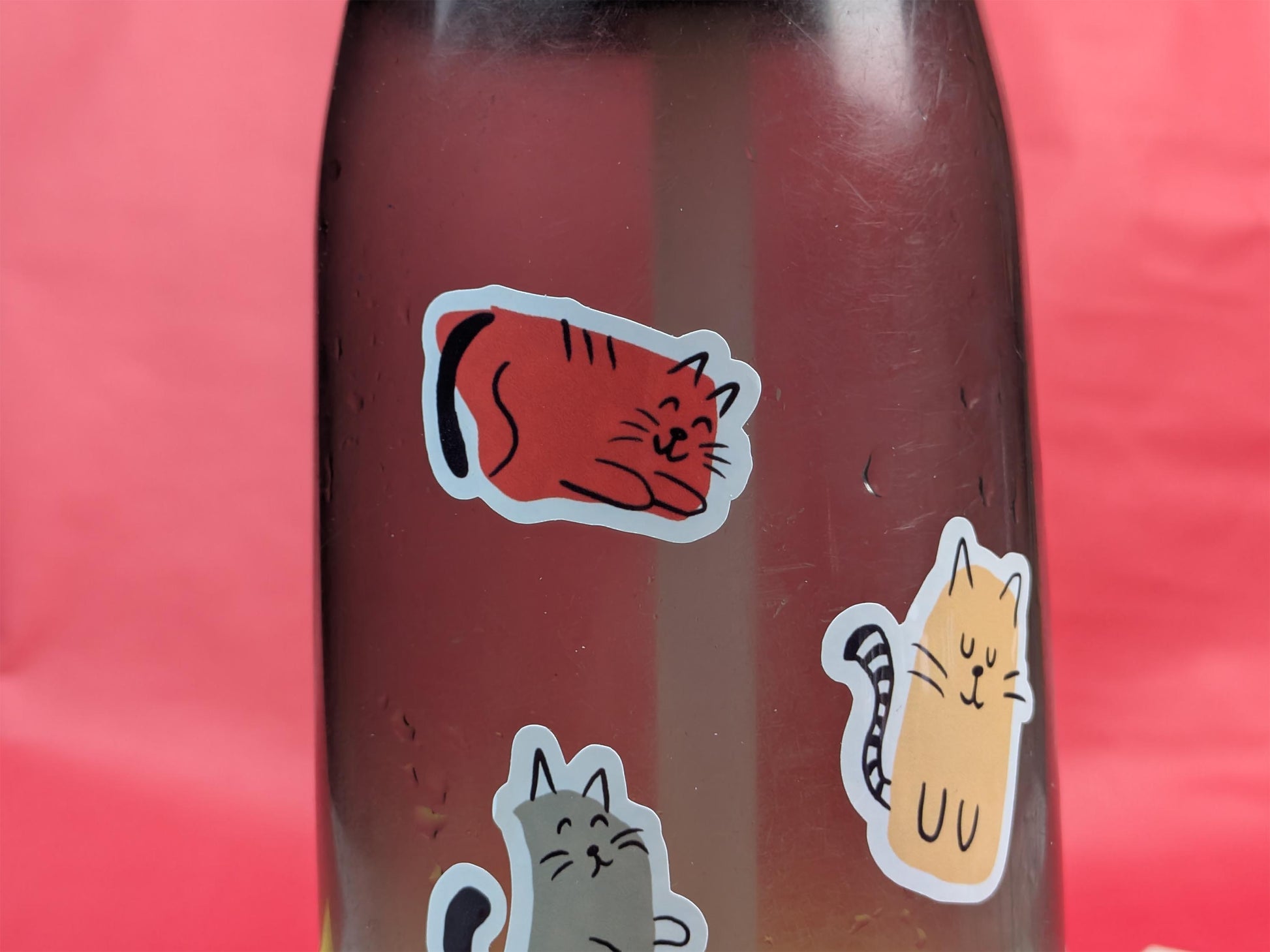 Bottle with cat stickers on a red background