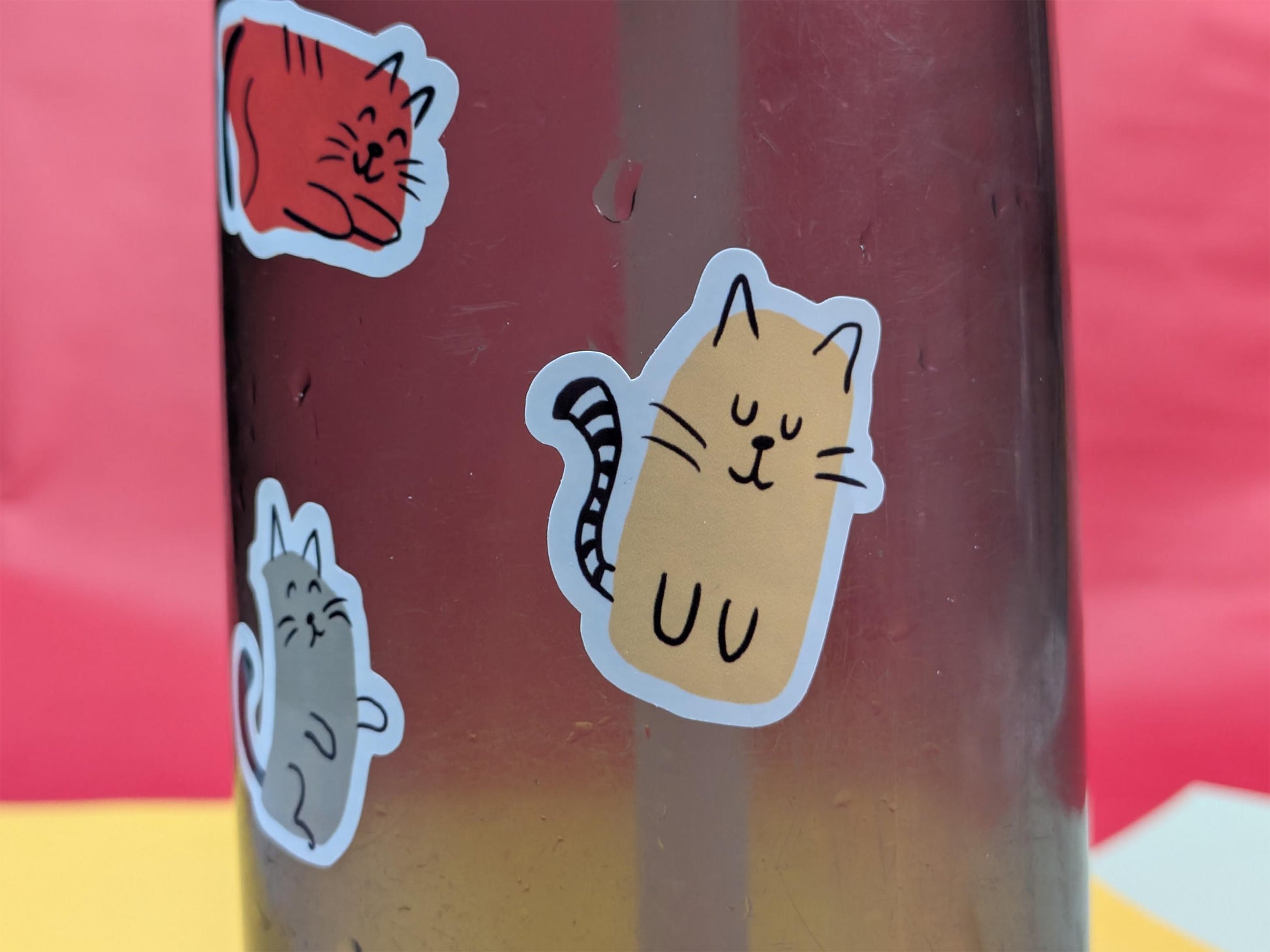 Sticker of a cat on a water bottle with a red background