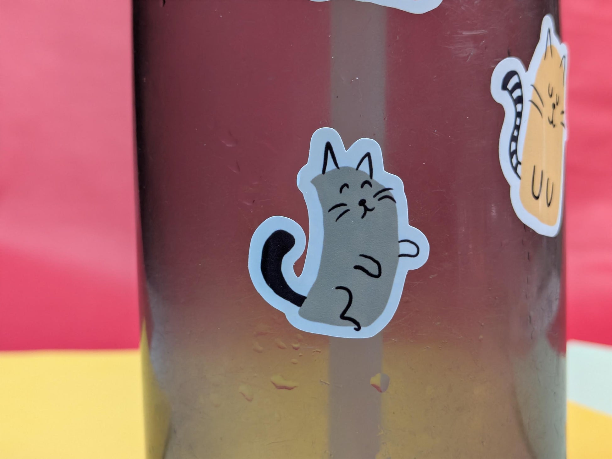 water bottle with a cat sticker on a red and yellow background